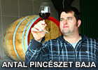 Antal Pincészet Baja - Antalvin Kft.