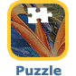 aj�nd�k Puzzle