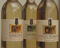 Varsányi Borászat Verpelét