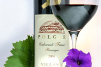 Villányi Cabernet Franc Barrique 2004