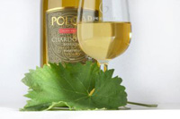 Chardonnay Barrique 2006/2007