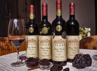 Villányi Elixír Cuvée Barrique 1995