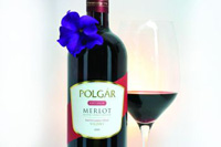 Villányi Merlot 2004/2005