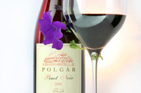Villányi Pinot Noir 2005