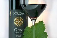 Villányi Polgár Cuvée Barrique 2003