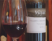 Vylyan Pinc�szet Vill�nyi 2003-as Cabernet Franc