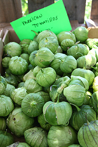 Mexican tomatillos - Mexikói zöld paradicsom