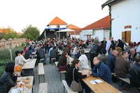  Villányi Borfesztivál 2009 - Tiffán Ede és Zsolt Pincészetében