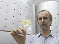 K&aacute;l-Vin pinc&eacute;szet - Varga Gy&ouml;rgy - R&eacute;vf&uuml;l&ouml;p - K&aacute;li medence - Balaton felvid&eacute;k