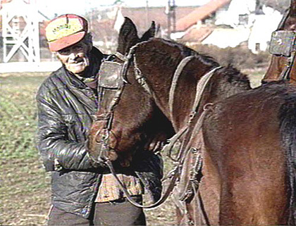 Acsai Lajos