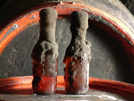 múzeális tokaji aszú a tolcsvai Sajgó Pinészetben