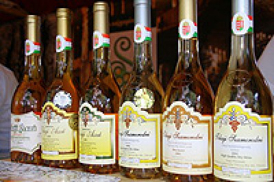  Sajgó Pince - Tolcsva Bor Kft. (Szegedi Borfesztivál 2007.)