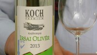 Koch Borászat Irsai Olivér 2013, Irsai Olivér szőlőfajta