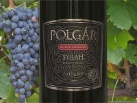 Polgár Pincészet 2008-as Syrah