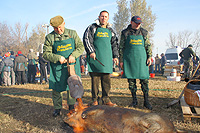 Balástyai böllérnapok 2006