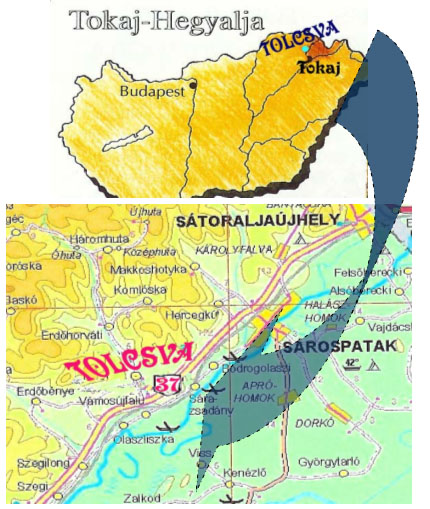 Tolcsva map