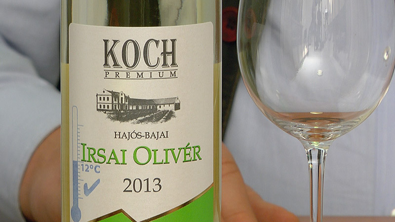 Koch Borászat Irsai Olivér 2013, Irsai Olivér szőlőfajta