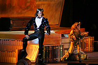 Szegedi Szabadtéri Játékok 2007 . A. L. Webber: Macskák (musical)