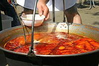 X Nemzetközi Tiszai Halfesztivál Szeged 2006