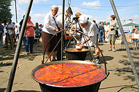X Nemzetközi Tiszai Halfesztivál Szeged 2006