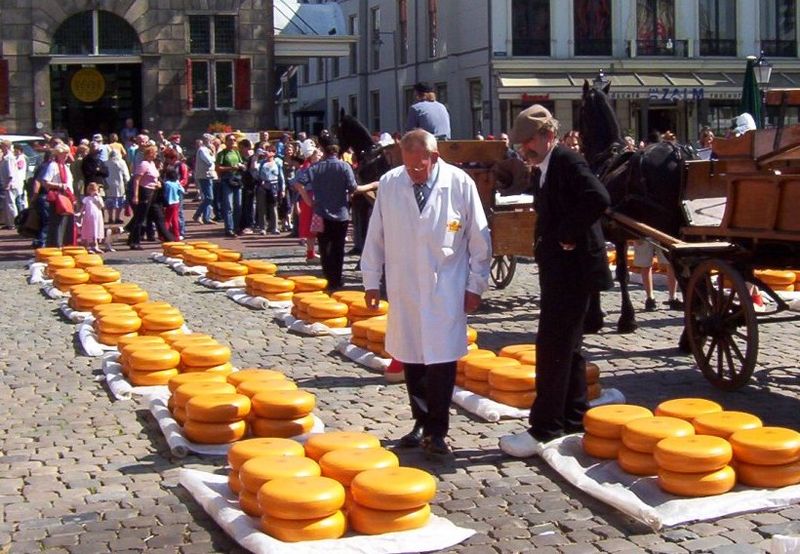 gouda sajtvasar