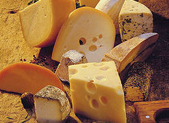 A sajt fontos a csontok számára