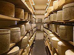a sajtkészítés története
