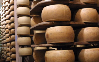 A sajt története a kezdetektől