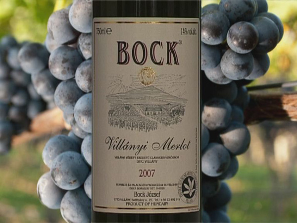 Bock Pincészet 2007-es Merlot