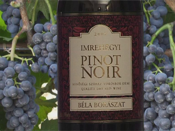 Béla Borászat 2007-es Imrehegyi Pinot Noir