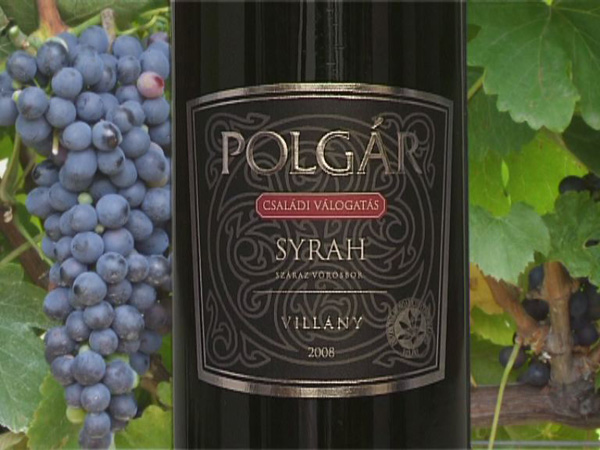 Polgár Pincészet 2008-as Syrah